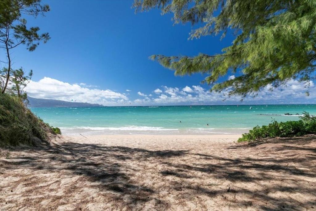 Unit 14 Maui Ohana Modern Studio Wailuku Dış mekan fotoğraf